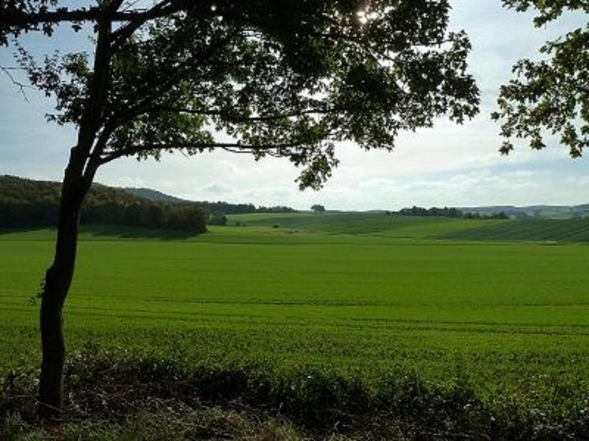 Feriendorf Sulzfeld Villa Sulzfeld  Екстериор снимка